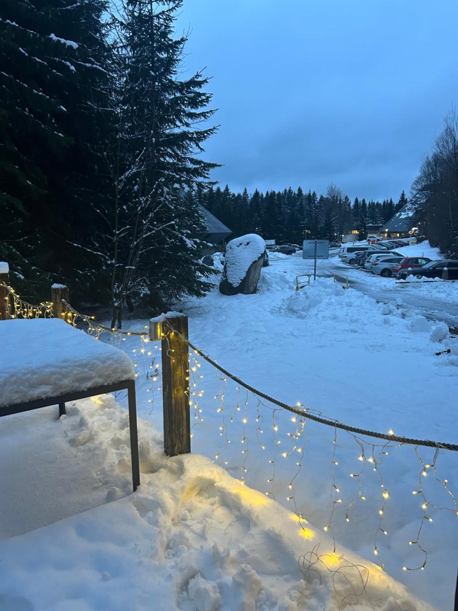 Horsky Chalet ハルラホフ エクステリア 写真
